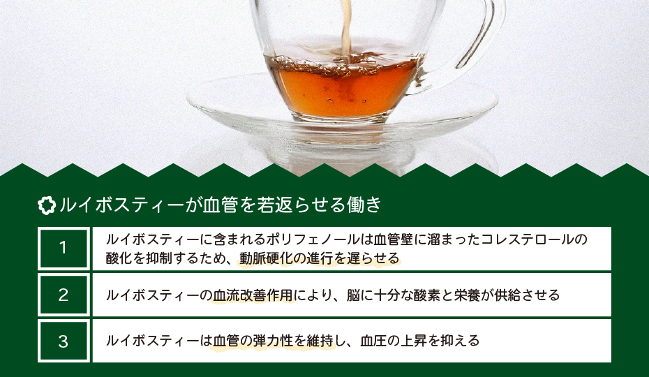 ルイボスティーが血管を若返らせる働き
