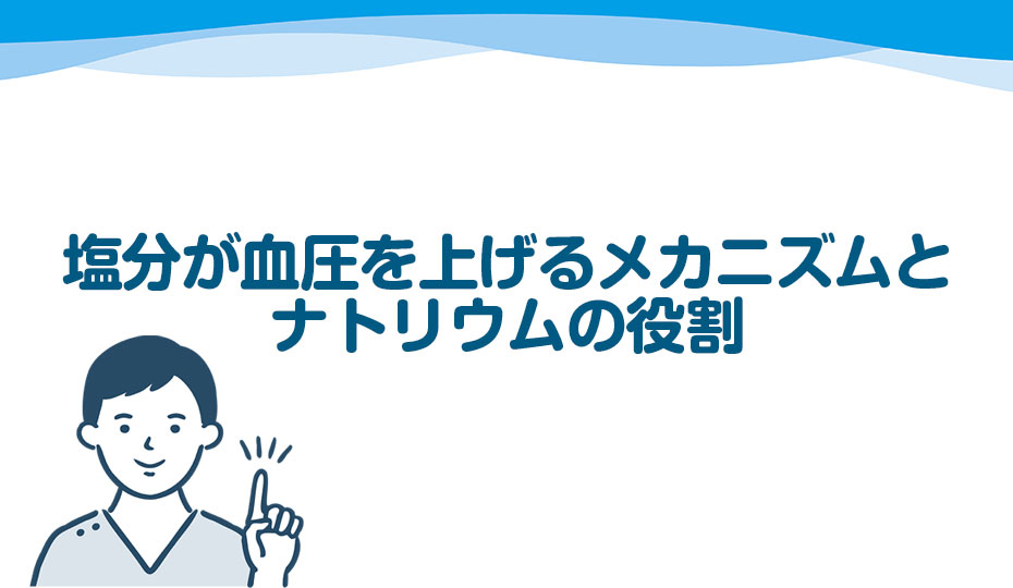 塩分が血圧を上げるメカニズムとナトリウムの役割