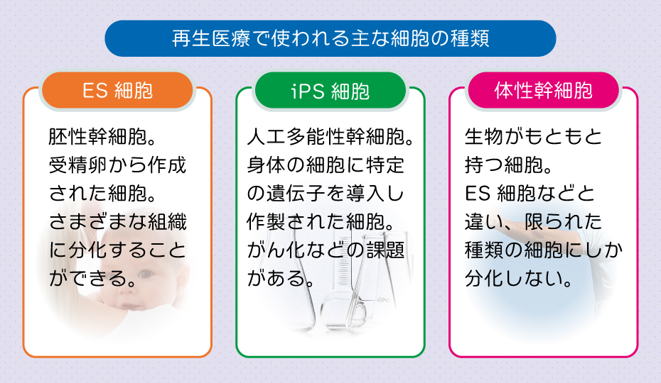 再生医療で使われる主な細胞の種類